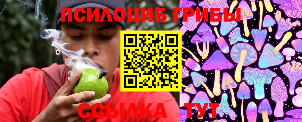 Жигулёвск  Псилоцибиновые грибы Magic Shrooms  Вход с VPN  Псилоцибиновые грибы мицелий 